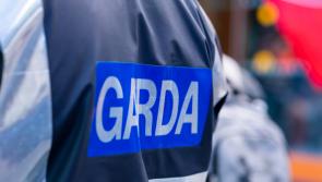Gardaí appeal for information following a burglary in County Carlow