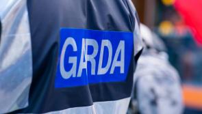 Gardaí renew appeal for information into fatal crash on the M50 involving Carlow native