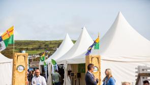 Co. Derry businesses included as finalists in The Blas na hÉireann 2024 
