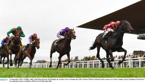 York punters are torn on Tipperary trained Troy as the big race approaches 
