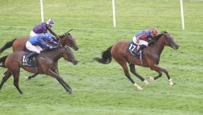 10/1 Ballydoyle double popular today at York after big wins yesterday 