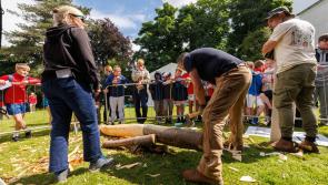 Heritage Council in Kilkenny to open its grounds for day of family fun for Heritage Week