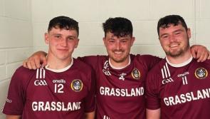 Dicksboro brothers break new ground in Kilkenny hurling 