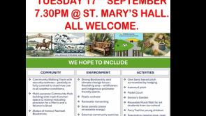 Public meeting about community park planned for county Tipperary town 