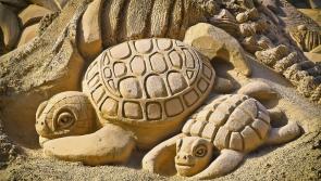 Rescheduled sand sculpture competition to take place in Rossnowlagh