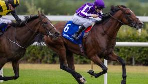 Jack Cleary-ridden Platoon capped off a fantastic week for Ballydoyle