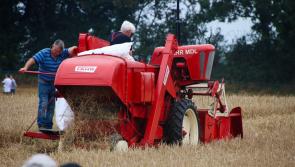 Plenty of fun for all the family at Knockbridge Vintage Rally in Louth next weekend