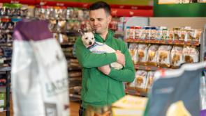 Maxi Zoo launches campaign aimed at caring more for older pets 