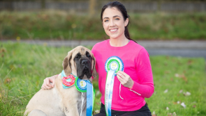 Waterford's best pups to be celebrated at 9th Petmania's Puppy of the Year Awards