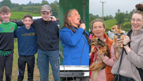 PICTURES | Ploughmen from across Ireland and top entertainment in Longford at Colmcille Ploughing
