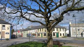 County Kilkenny town nominated for All-Ireland award 