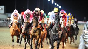 Dundalk Stadium returns to Friday Night Lights