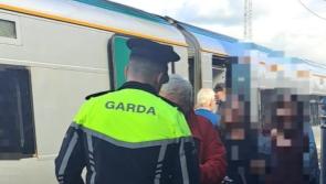 Kilkenny Gardaí called into action at local train station 