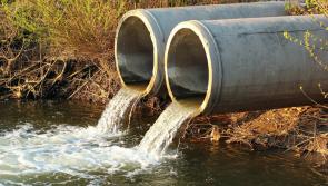 Hunter slams shoreline sewage scandal branding it an 'environmental catastrophe'