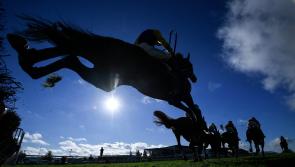 Final horse and pony races of the season to thrill Carndonagh this Sunday