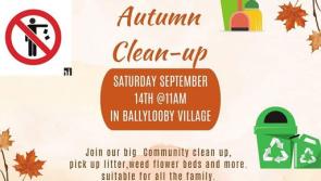 Big clean-up planned for a Tipperary village