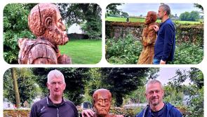 New art installation celebrates history and heritage in Laois town