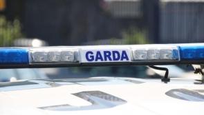 In a flap! Kilkenny Gardaí called to 'major rescue operation' at local GAA club 