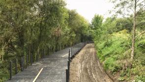 WATCH: Refurbished Kilkenny walkway nearing completion 
