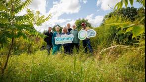 Eye-catching development to be installed in Co Kilkenny 