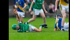 IN PICTURES: See the celebrations after a festival of Mid U13 Hurling Finals in Holycross!