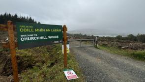 Gartan Lake viewing area mooted at 'spectacular' Churchill location