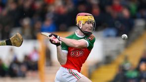 Kilkenny SHL- Village get timely boost with vital league victory against Glenmore