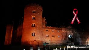 Kilkenny Castle to light up tonight (Friday) to raise awareness of life-threatening infection 