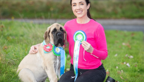 'Unforgettable experience for Donut and me' says Laois puppy owner