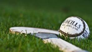 Leitrim GAA club is set for major training facility development