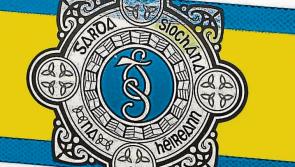 Garda appeal for witnesses following Kilkenny farm burglary