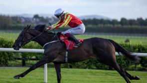  Paddy Twomey-trained Beechwood and Billy Lee finish first in a thrilling win