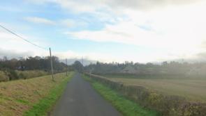 Dog 'put to sleep' after being attacked in Ballykelly