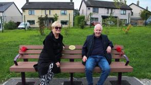 Town park committee in North Tipp celebrates local woman at end of Summer party 
