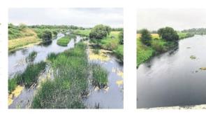 Concerns raised at Kildare County Council meeting in relation to section of River Barrow 