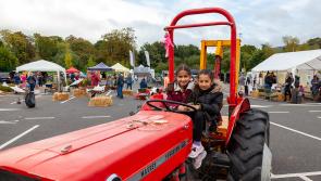 Food, birds, world music, and a harvest fair to feature at a Tipperary festival 
