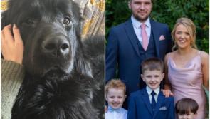 Fundraiser launched after Coleraine expectant family lose 'precious' dog in major house fire