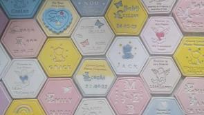 The White Butterfly Foundation set for Official Launch in Derry's Guildhall