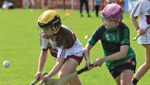 IN PICTURES: Martin McGuinness Chieftain Gaelic Games at Celtic Park