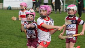 IN PICTURES: Tommy McGuigan Memorial Camogie Blitz