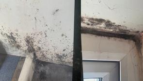 ‘Our health is at risk’: Leitrim expectant couple battles severe mould in Council home