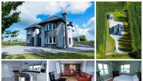 PICTURES: Marvellous Offaly mansion on secluded site with stunning views hits the market