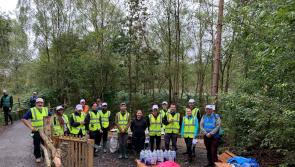 Portlaoise employees volunteer for the benefit of Abbeyleix Bog Project