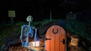 Take a walk into a world of witchcraft, wizardry and spooky fun at Kilkenny's Jurassic Newpark this Hallowe''en