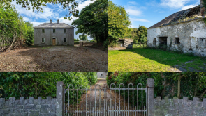 PICTURES: This Laois fixer-upper could be yours for €290k
