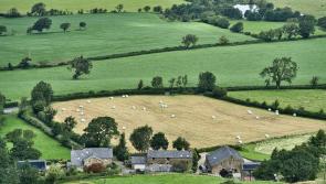 Laois farm succession event to take place in Abbeyleix