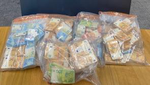 Searches in Laois and Dublin net over €390,000 in cash