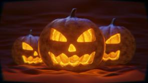 Frightfully fun! Scare in Cahir 2024 is on the way this October 