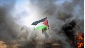 Offaly group to mark 'one year of genocide in Gaza'