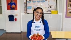 Six schools in County Derry to receive fruit and veg from Tesco
 